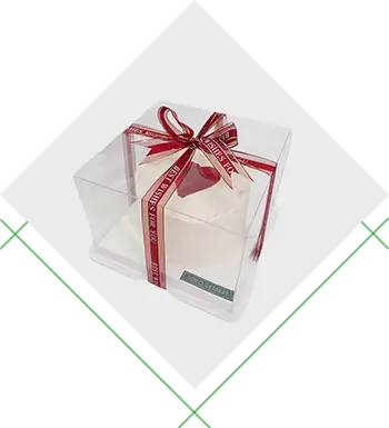 プラスチックの箱